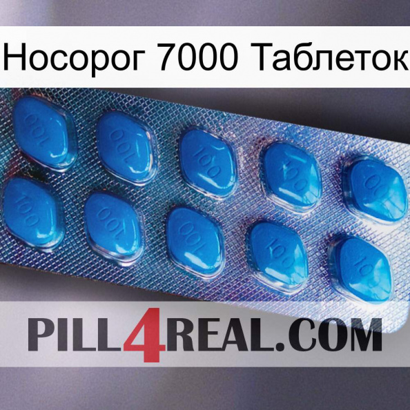 Носорог 7000 Таблеток viagra1.jpg